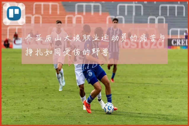 乔亚历山大谈职业运动员的痛苦与挣扎如同受伤的野兽